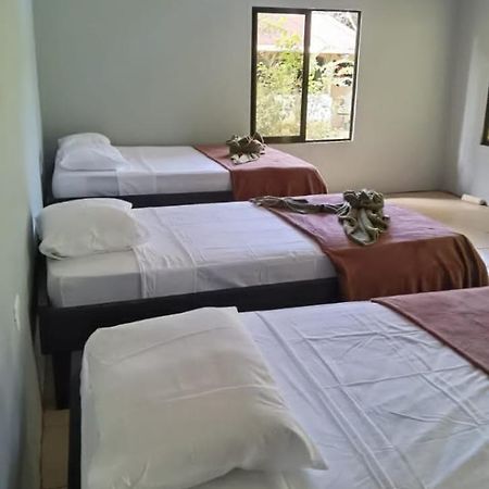 Cabinas Corcovado Green Parrot, Los Planes Drake Drakes Bay Esterno foto