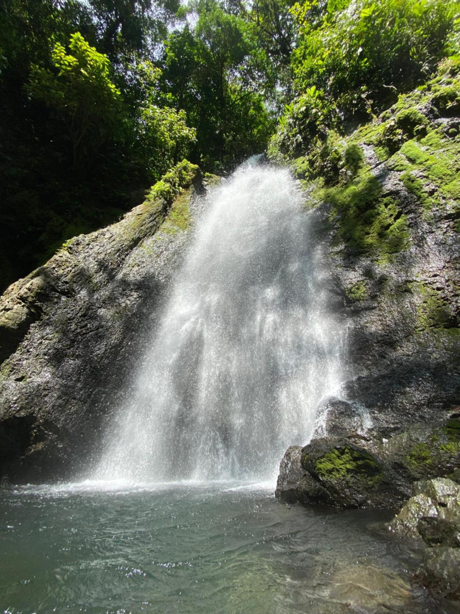 Cabinas Corcovado Green Parrot, Los Planes Drake Drakes Bay Esterno foto