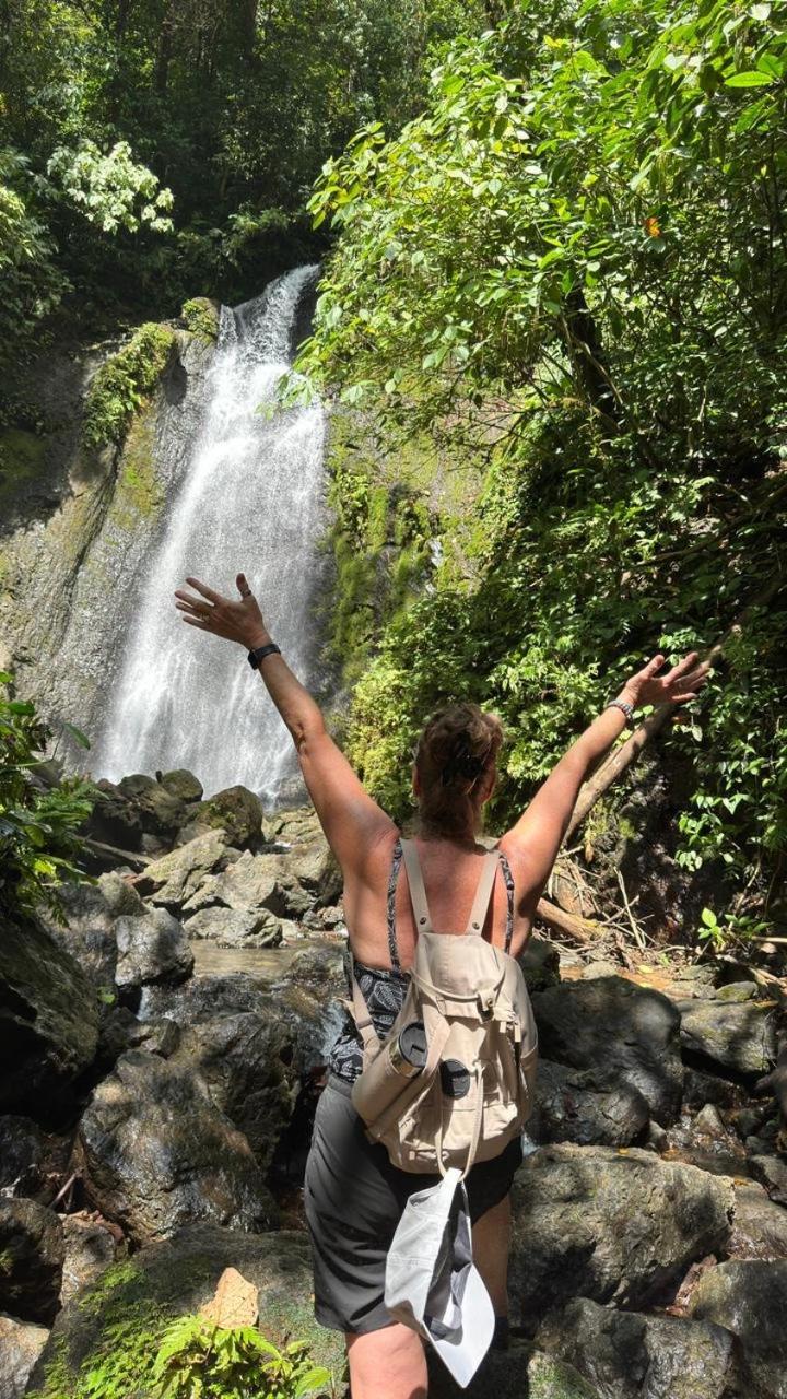 Cabinas Corcovado Green Parrot, Los Planes Drake Drakes Bay Esterno foto