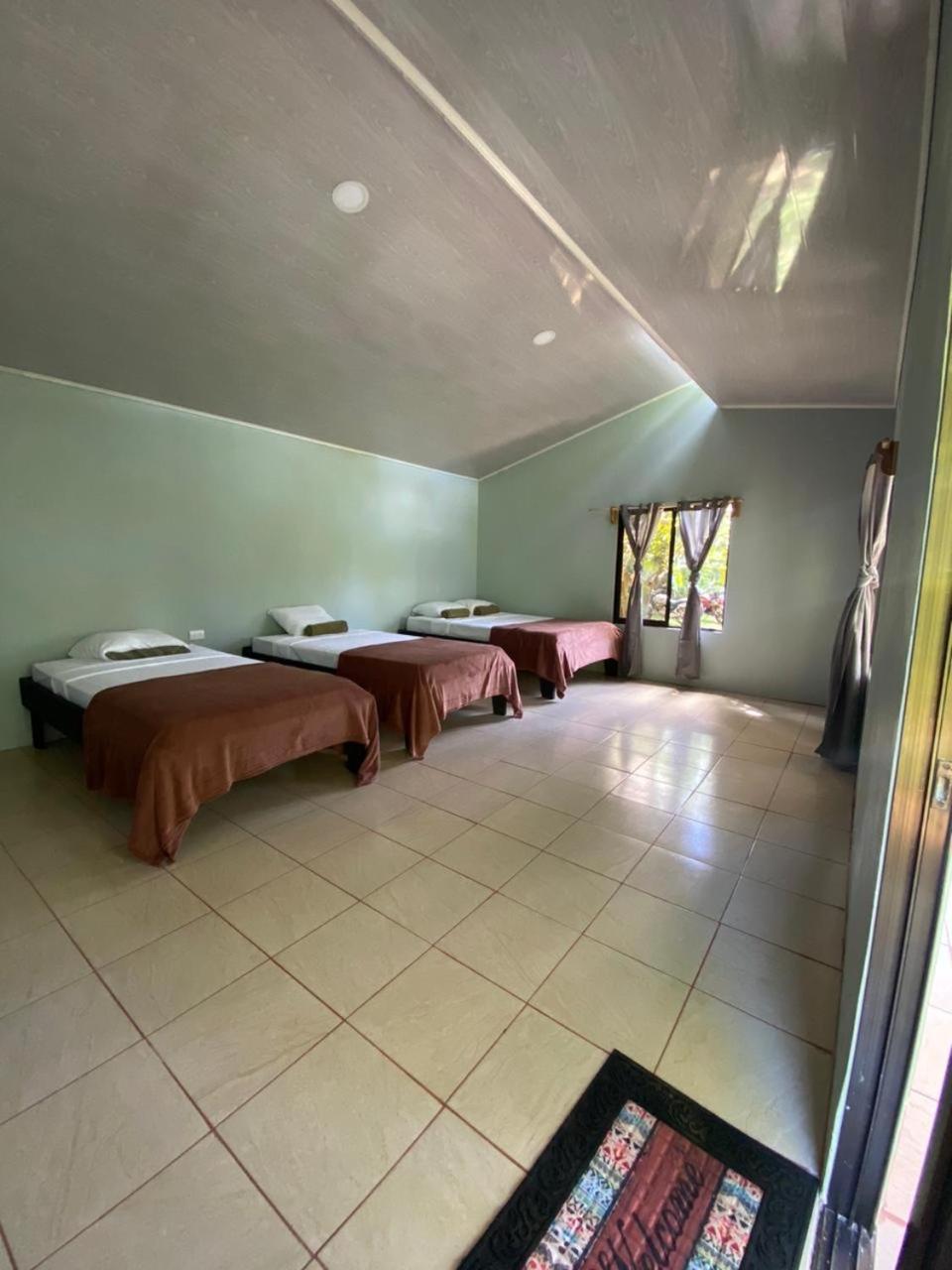 Cabinas Corcovado Green Parrot, Los Planes Drake Drakes Bay Esterno foto