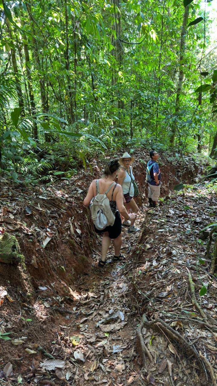 Cabinas Corcovado Green Parrot, Los Planes Drake Drakes Bay Esterno foto