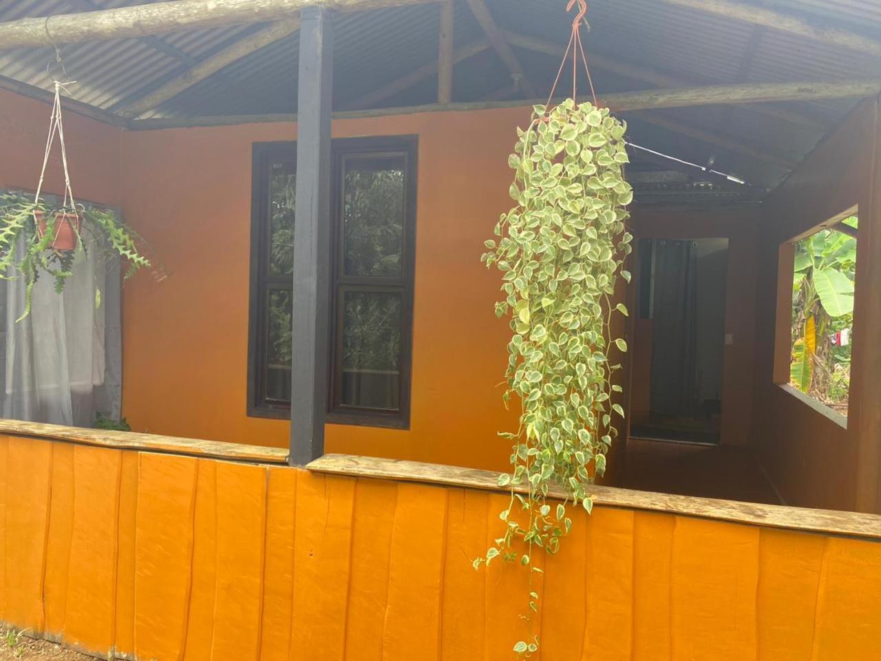 Cabinas Corcovado Green Parrot, Los Planes Drake Drakes Bay Esterno foto