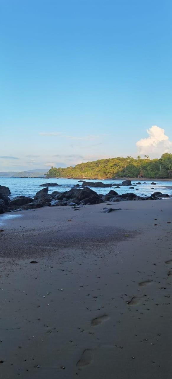 Cabinas Corcovado Green Parrot, Los Planes Drake Drakes Bay Esterno foto