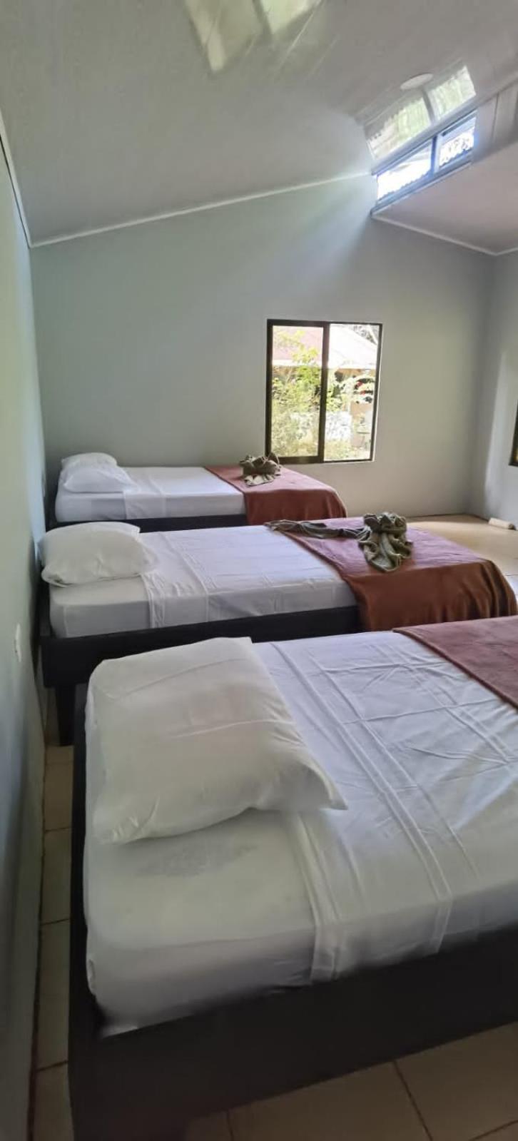 Cabinas Corcovado Green Parrot, Los Planes Drake Drakes Bay Esterno foto